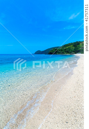 National court 41757311