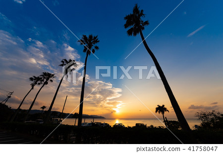 Ohama Beach Park 41758047