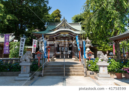 川越八幡宮 41758599