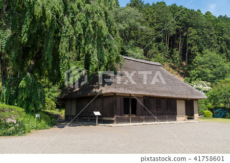 老高麗的房子 41758601