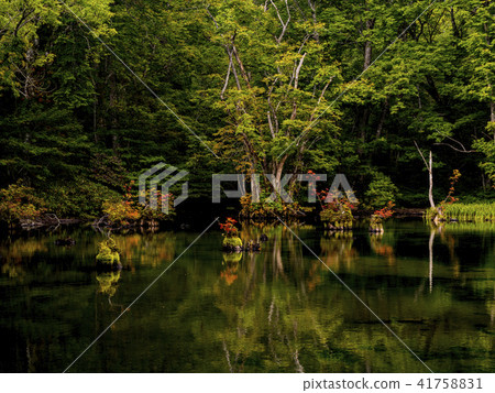 Fall of Suzuma 41758831