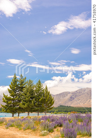 天氣晴朗時，特卡波湖和魯比納斯 41758970