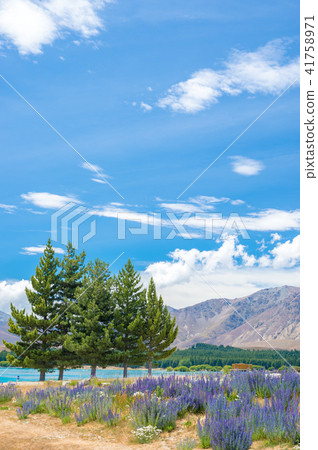 天氣晴朗時，特卡波湖和魯比納斯 41758971