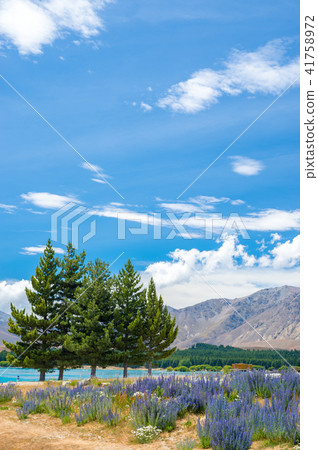 天氣晴朗時，特卡波湖和魯比納斯 41758972