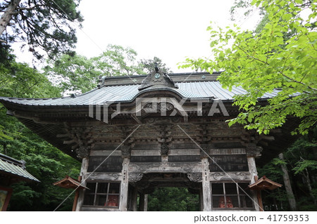 榛名神社Kozo門 41759353