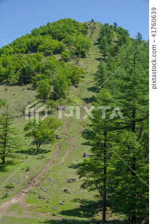 Kutakoriyama攀登路徑6月 Kutakoriyama攀登路徑6月 41760639