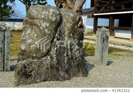 Takashiji Temple 41761322