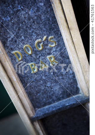 Dog's bar in the city 41761563