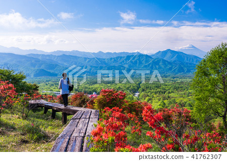 [Yamanashi Prefecture] Kiyosato's beautiful forest where azaleas bloom Mt. Fuji 41762307