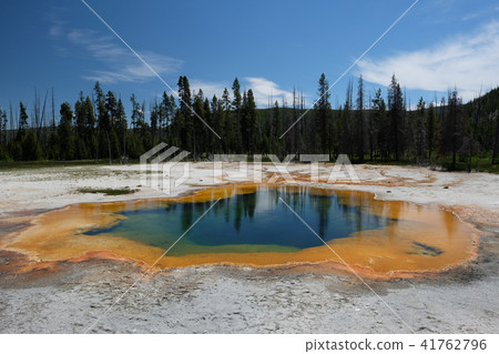Hot thermal spring in Yellowstone Hot thermal spring in Yellowstone 41762796
