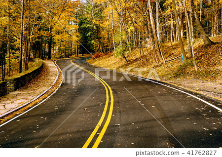 Autumn scene with road in forest 41762827