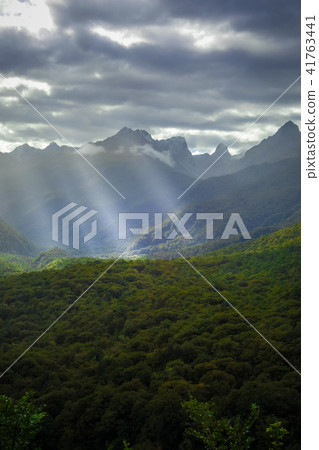 Fiordland national park landscape, New Zealand Fiordland national park landscape, New Zealand 41763441