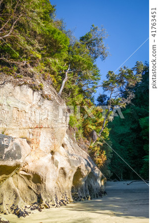 Creek in Abel Tasman National Park, New Zealand Creek in Abel Tasman National Park, New Zealand 41763451
