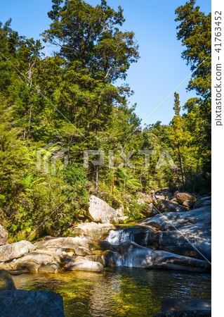 Cleopatra pools in Abel Tasman Park, New Zealand Cleopatra pools in Abel Tasman Park, New Zealand 41763452