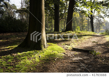 Hondsdonk manorial estate Hondsdonk manorial estate 41763888