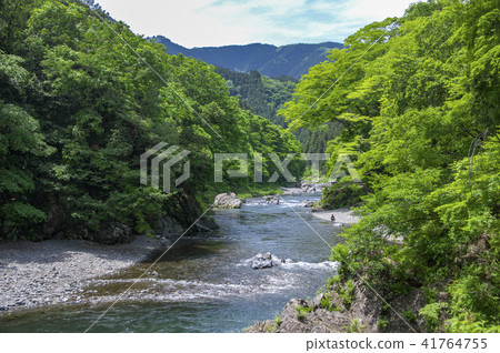 鮮綠禦岳峽 41764755