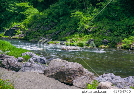 Fresh green Mitake Gorge Fresh green Mitake Gorge 41764760