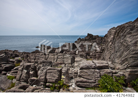 大島Iwaba 7 41764982