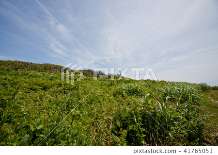Oshima Lighthouse 2 41765051