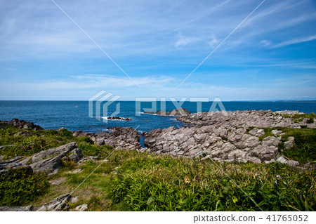 大島岩野11 41765052