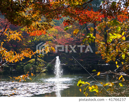 Higashiyama Animal and Botanical Garden in autumn Higashiyama Animal and Botanical Garden in autumn 41766237