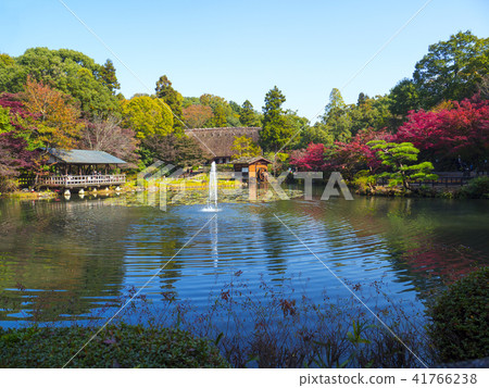 東山動物園和植物園在秋天 東山動物園和植物園在秋天 41766238