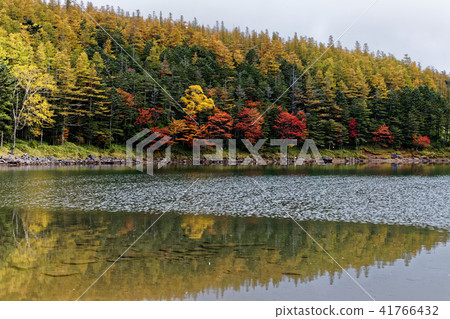 Autumn leaves of Kita Yatsugatake · twin pond (female pond) 41766432