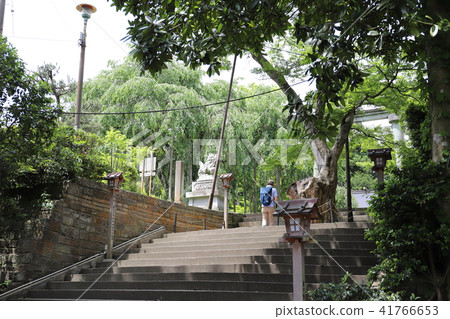 從Atagosaka到Asuwa Shrine(Fukui Fukui Fukui) 從Atagosaka到Asuwa Shrine(Fukui Fukui Fukui) 41766653