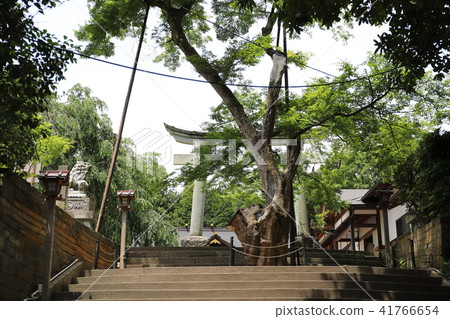 從Atagosaka到Asuwa Shrine(Fukui Fukui Fukui) 從Atagosaka到Asuwa Shrine(Fukui Fukui Fukui) 41766654