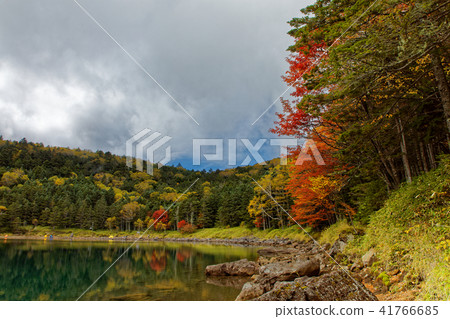 Tent area of Kitaya Yatsugatake · twin pond (female pond) 41766685