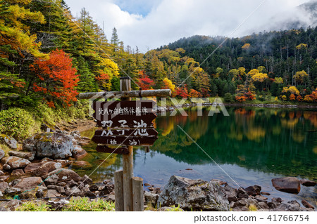 Autumn leaves of Kita Yatsugatake · Shinsuike (Yousei) 41766754
