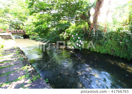 Genpei River 41766765