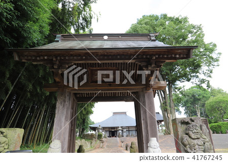 鹿兒島市信州 41767245