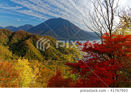 The autumnal leaves of Shinsan mountain ridge and the view of Mt. 41767993