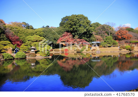 A large garden 41768570