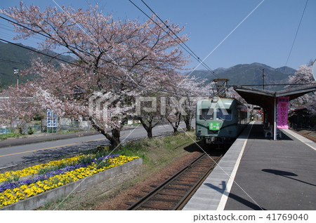 Oigawa Railway 21000 Series Sakura in Surugaokuyama 41769040