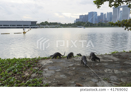 singapore, outdoors, city 41769092