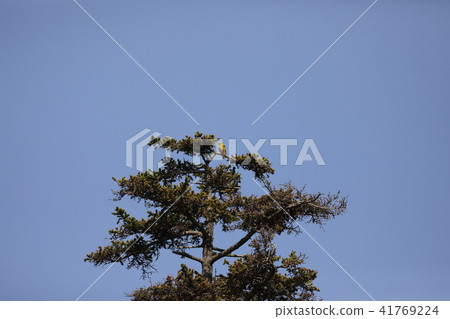 荒井圭須 荒井圭須 41769224