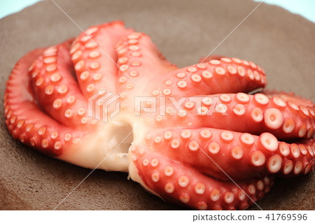 Boiled octopus (boiled) Boiled octopus (boiled) 41769596