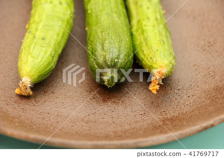 End of cucumbers harvested at home garden End of cucumbers harvested at home garden 41769717