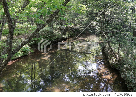 Yukawa 03 Nikko National Park Yukawa 03 Nikko National Park 41769862