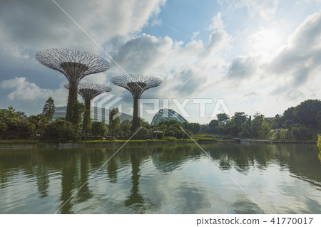 gardens by the bay, marina bay, botanical garden 41770017
