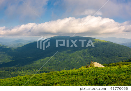 rocks on grassy hillside of Carpathian mountains rocks on grassy hillside of Carpathian mountains 41770066