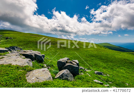 rocks on the edge of grassy meadow on hillside 41770072