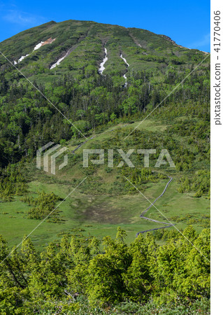 Tamiya Kumazawa early summer and Mt. Tamiya Kumazawa early summer and Mt. 41770406