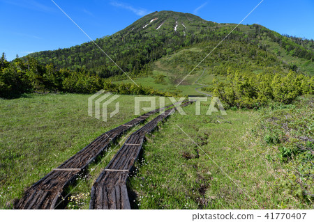 Tamiya Kumazawa early summer and Mt. 41770407