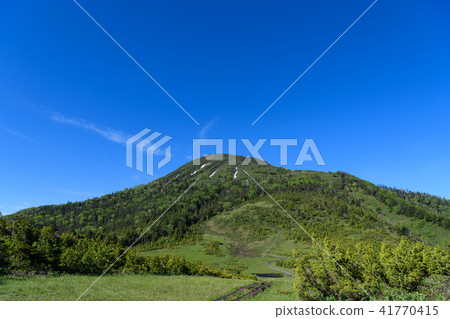 Tamiya Kumazawa early summer and Mt. 41770415