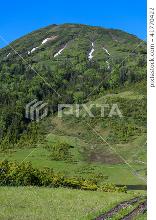 Early summer Mt.Game mountain seen from Kumazawa Tashiro 41770422