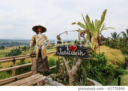 Bali Jatirui Rice Terrace Bali Jatirui Rice Terrace 41770840