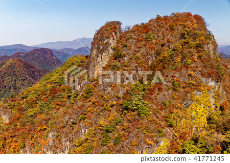 Deer of autumnal leaves seen from the Nishito-shi and Mt. Deer of autumnal leaves seen from the Nishito-shi and Mt. 41771245